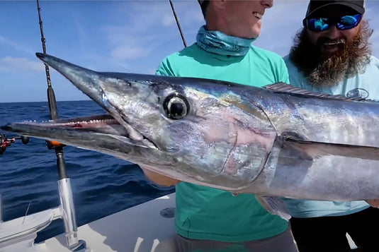 How to choose the best rod for catching wahoo