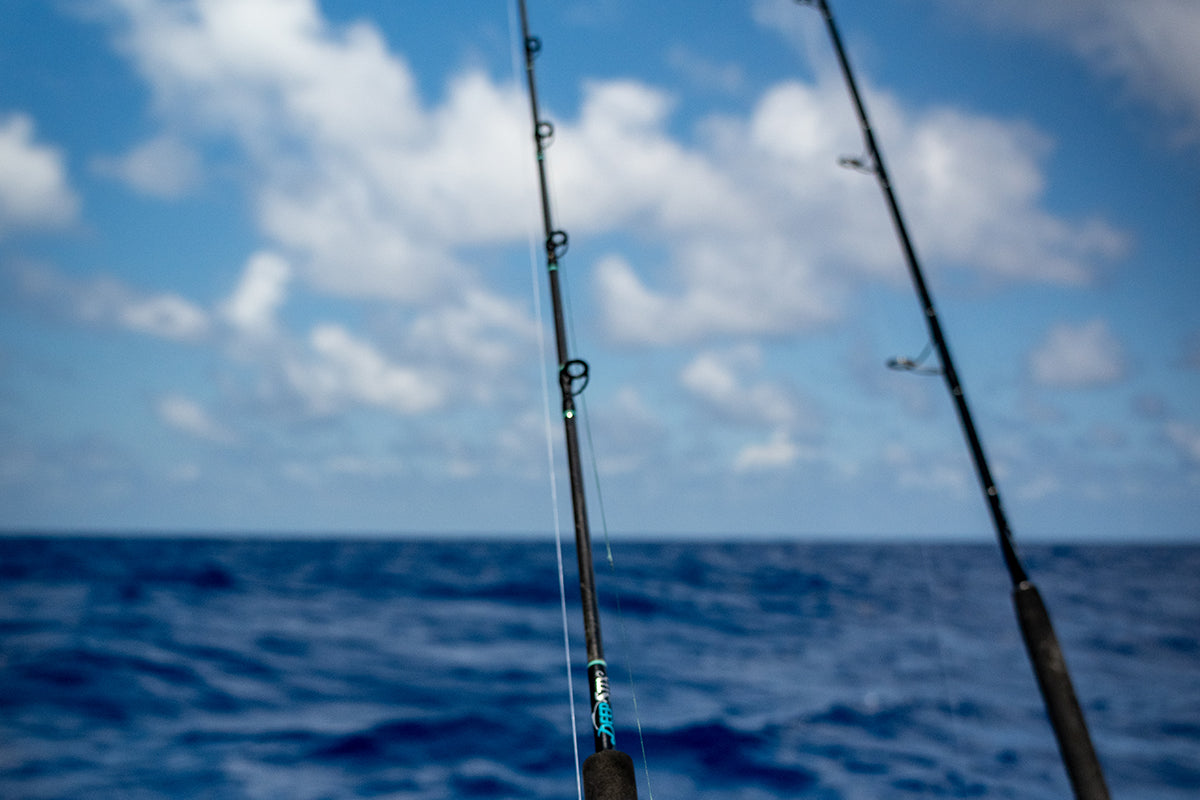 Saltwater Fishing Rods – Blackfin Rods