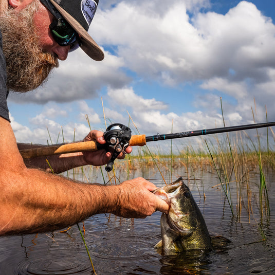 Bass Elite Baitcaster Freshwater Rod