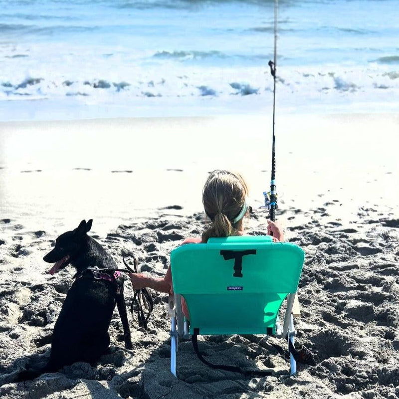 Load image into Gallery viewer, Beach Walker Surf Rod 10’. Chilling with dog