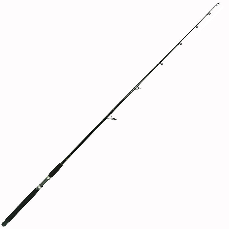 Load image into Gallery viewer, Fin Legacy Spinning Rod