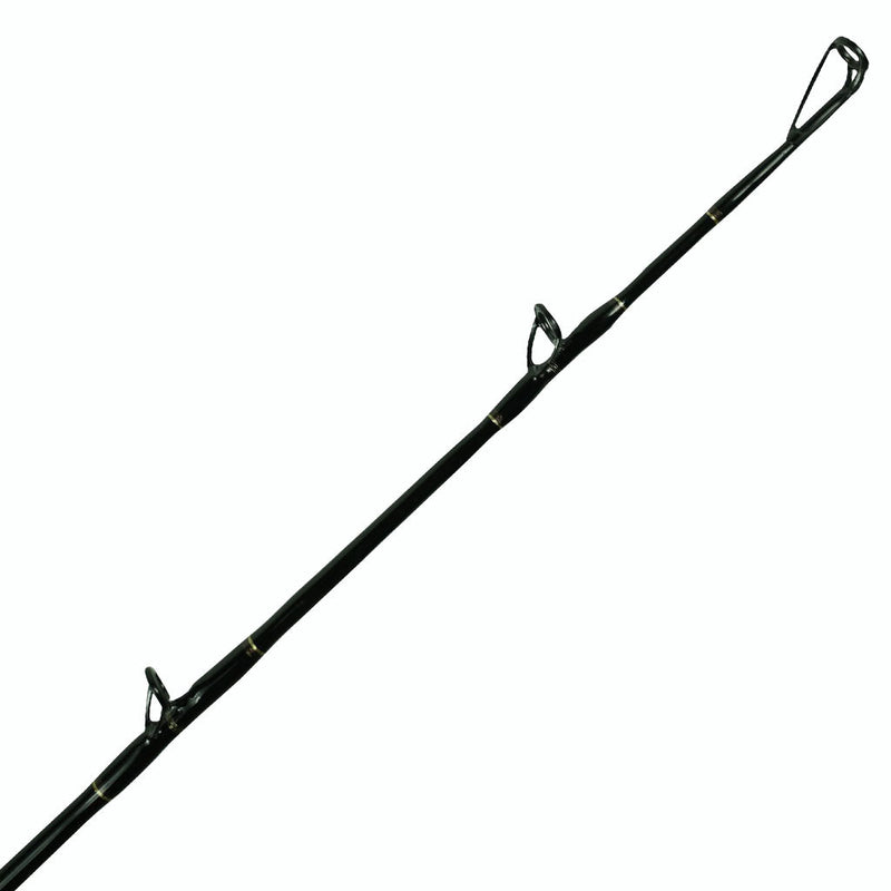 Load image into Gallery viewer, Fin Legacy Spinning Rod