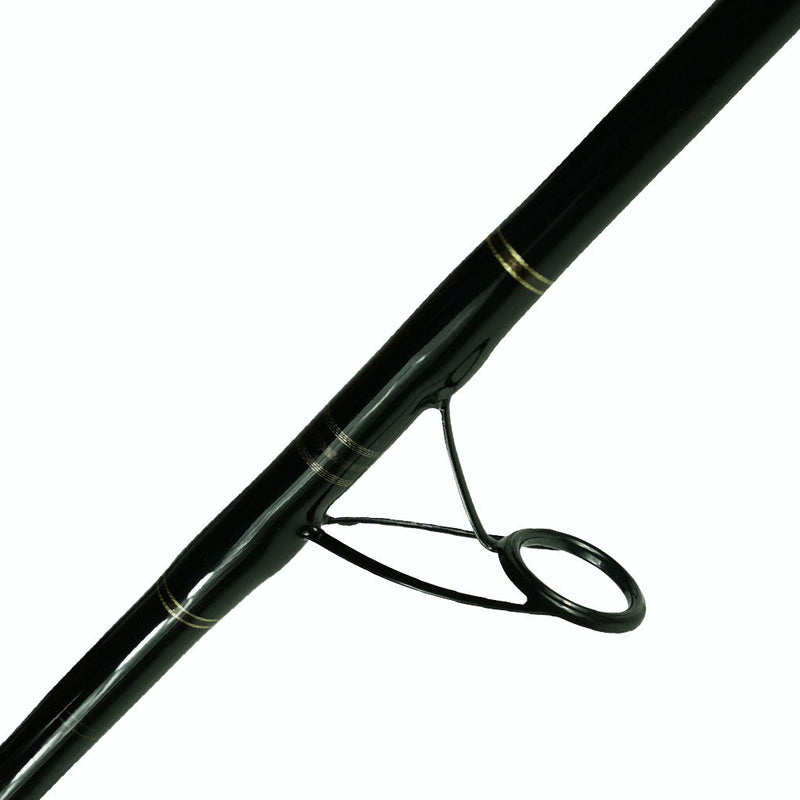 Load image into Gallery viewer, Fin Legacy Spinning Rod