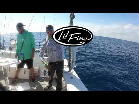 Load and play video in Gallery viewer, Carbon cat charters testing out the Li&#39;l finz. Caught Barracuda offshore on Li&#39;l Finz red and blue. 
