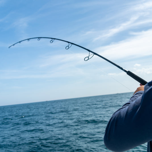 Fishing with the Blackfin Solo Rod
