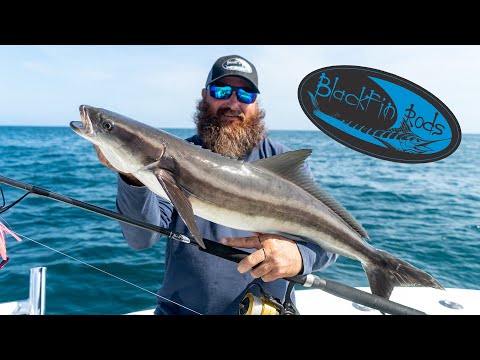 Load and play video in Gallery viewer, Watch these guys fighting Cobia on the new solo spinning rod. Captain Jonathan says it’s the only rod you’ll ever need!
