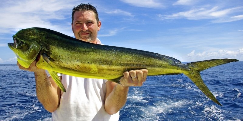 Mahi-Mahi on Instagram – Blackfin Rods