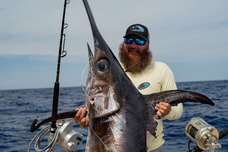 Billfish