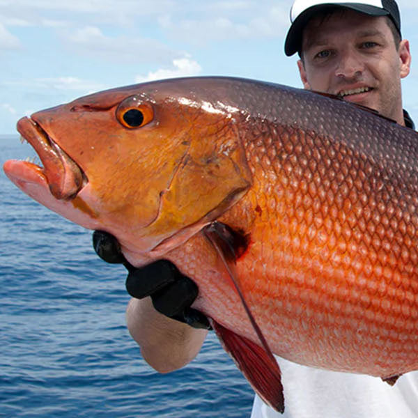 Red Snapper – Blackfin Rods
