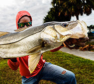 Snook Rods – Blackfin Rods