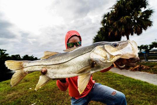 Snook fishing rods