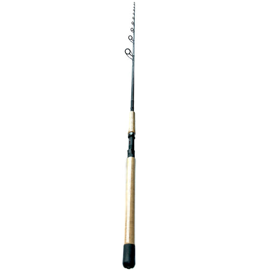 Fishing Rods For Bass, Redfish, Trout