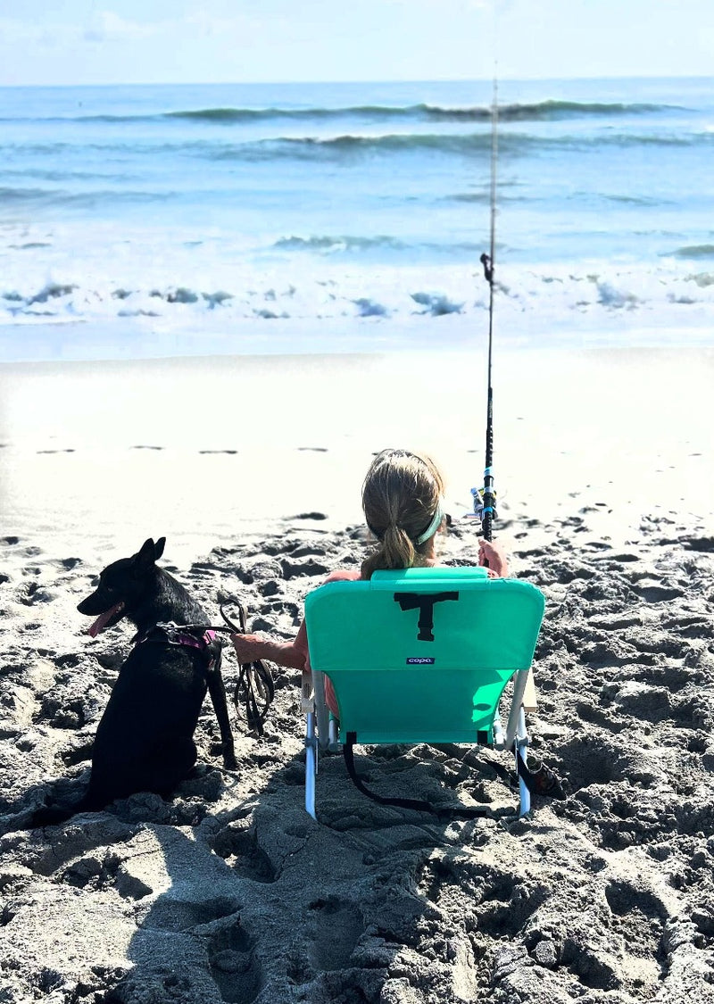 Load image into Gallery viewer, Beach Walker Surf Rod 10’. Chilling with dog
