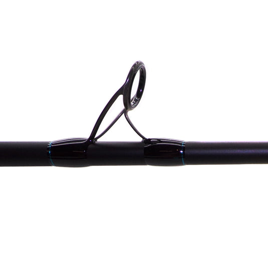 Beach Walker Surf Rod 10’. Guide.