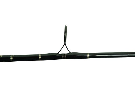 Fin Legacy IGFA Rod