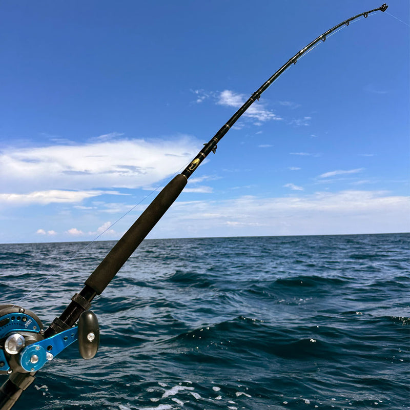 Load image into Gallery viewer, Blackfin Rods Fin 147 6&#39;6&quot; Planer Fishing Rod 50-80lb
