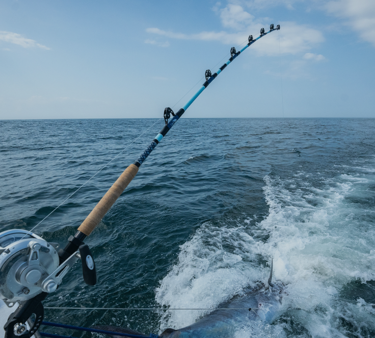 Fishing rod on back of boat