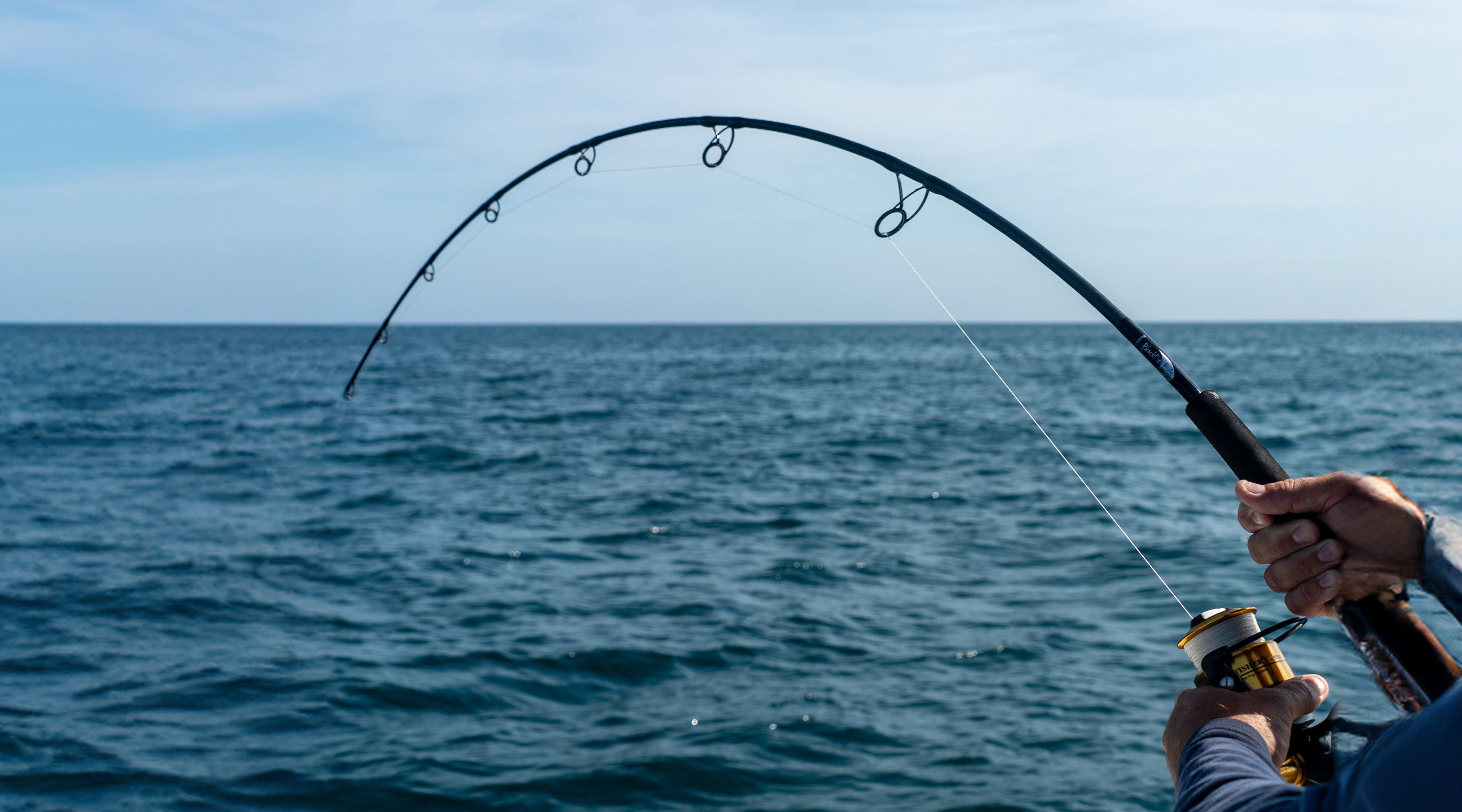 Blackfin Rods American Fishing Rods Saltwater Fishing Rods