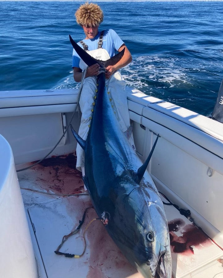 Load image into Gallery viewer, Caught with Blackfin Rods Fin 148 Fishing Rod 6&#39;4&quot; Rod 50-80lb Line Weight Stand Up Rod 100% E-Glass Blank AFTCO Unibutt Short Winthrop Roller Top SIN Guides Extremely-Fast Action Targeted Species: Tuna, Blue Marlin, Marlin, Wahoo
