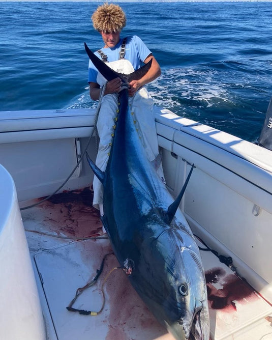 Caught with Blackfin Rods Fin 148 Fishing Rod 6'4" Rod 50-80lb Line Weight Stand Up Rod 100% E-Glass Blank AFTCO Unibutt Short Winthrop Roller Top SIN Guides Extremely-Fast Action Targeted Species: Tuna, Blue Marlin, Marlin, Wahoo