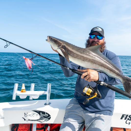 Cobia caught with the blackfin solo rod