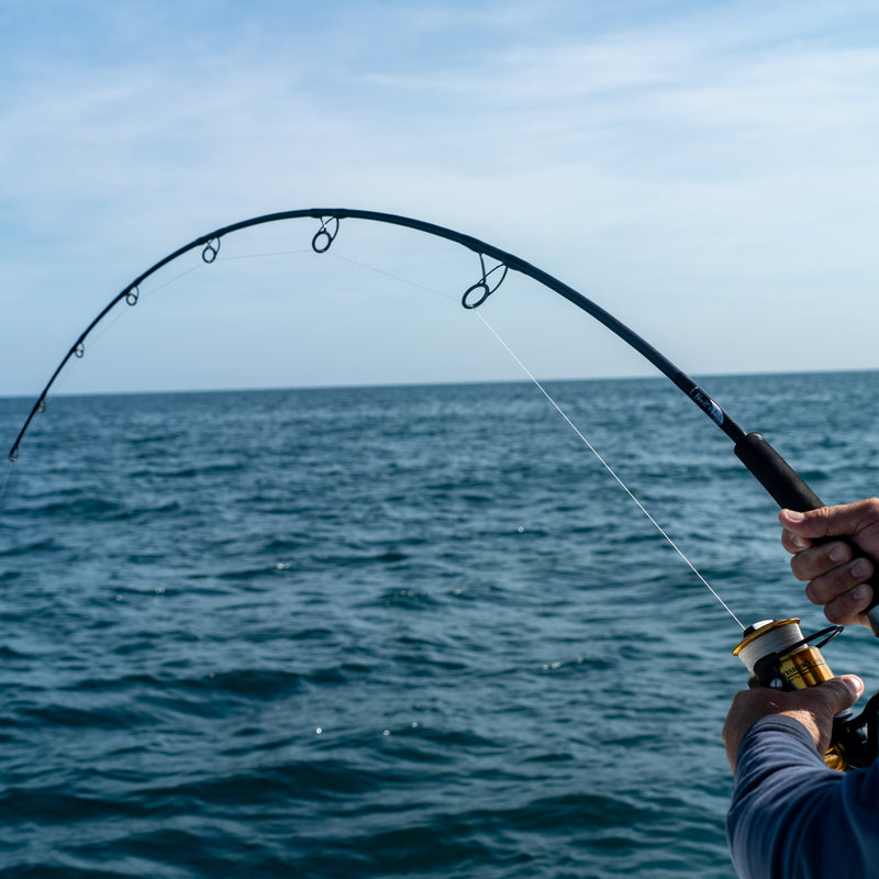 Load image into Gallery viewer, The New Blackfin solo rod, the only fishing rod you need.
